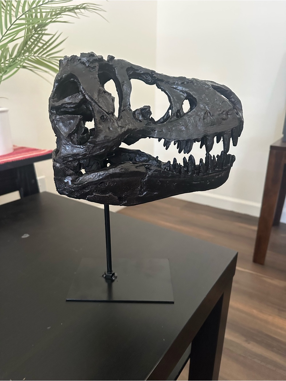 Black Dinosaur Skull Accent Sculpture - Home Accents